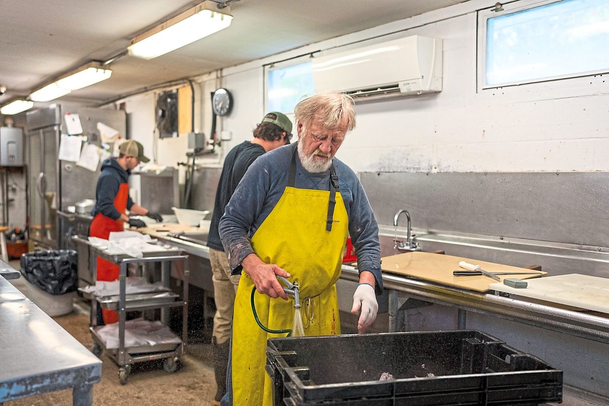 Russell has been pulling shad out of the Connecticut River since 1967.