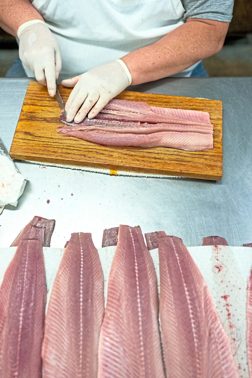 Shad deboning at the Atlantic Seafood Market. Once celebrated as a Revolutionary War savior, shad has become a rarity. That doesn’t stop its fans from seeking it out. — CHRISTOPHER CAPOZZIELLO/ The New York Times