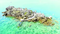 Ligao’s coastal waters get new lease on life