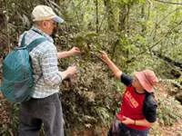 Rare plant found in Tawau Hills Park confirmed as new species in Sabah