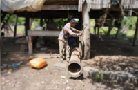 Pack it in you pachyderms: Mondulkiri villagers adapt as elephant raids intensify