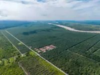 WTK's units to dispose of shares in Biogrow City Plantations to Rimbun Temasek