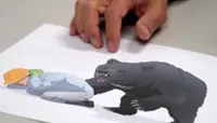 Japan turns to anime to help kids avoid bears as attacks triple in country