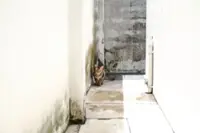 Why some homes rot faster