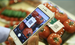 QR codes key to safer food supply chains in Vietnam but transparency, supervision needed
