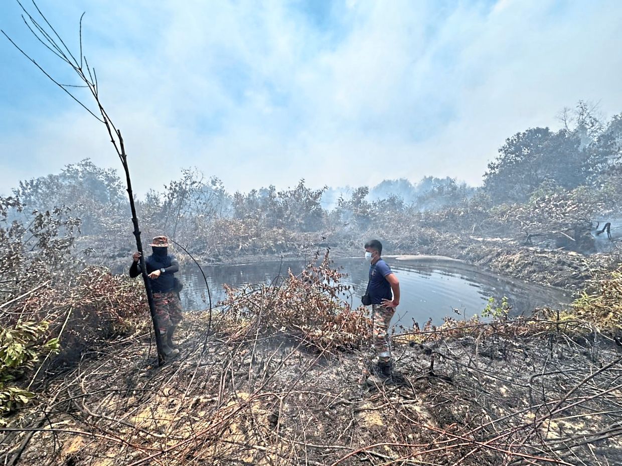 Simmering danger: In this filepic, firemen are seen battling a forest fire raging near Lebuh Raya Desaru Penggerang, Johor. — Photo courtesy of Jabatan Bomba Dan Penyelamat Malaysia