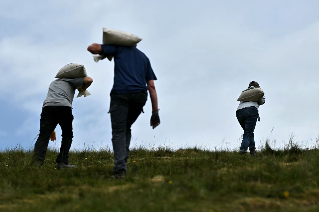 Volunteers carry chalk up the hill during the once-in-a-decade restoration of the Cerne Abbas Giant in Dorchester, southern England, on May 29. Photo: AFP