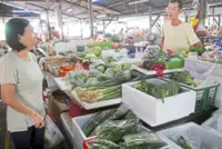 Farming in times of conflict: Working for greener pastures