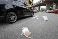QuickCheck: Was a motorist caught on camera littering from their car near Komtar, Penang?