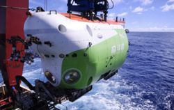 Chinese team finds ‘garden-like’ ecosystem blooming in deepest ocean trenches