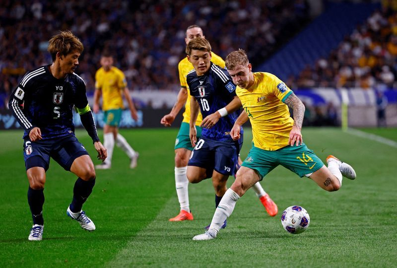 Soccer-Australia coach says 'fearless' Socceroos ready for World Cup