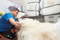 Crafting pillows for Johor palace
