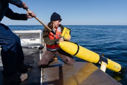 Could new tech help save some very rare whales?
