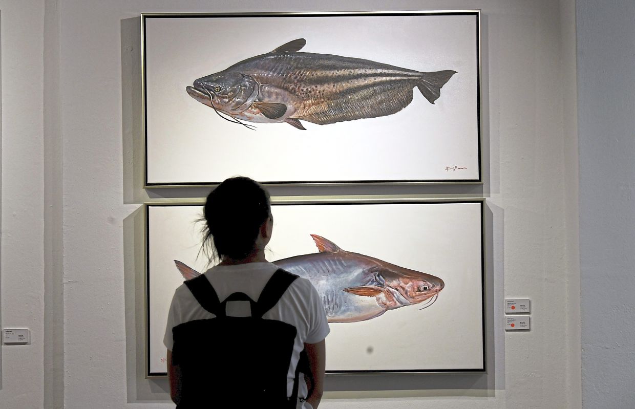 Freshwater fish receive the acrylic treatment in this Ryzalman exhibition. Photo: The Star/Azhar Mahfof
