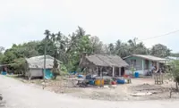 Orang Asli anxious over Pulau Carey port projects