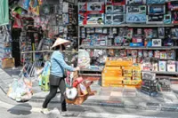 Experts: Long-term tie-up vital in FDI lure