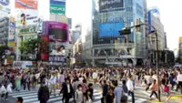 Japan’s capex growth stalls amid Iran war fears