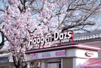 General Mills to sell Haagen-Dazs ice-cream shops in mainland China