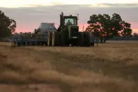 Australia says its wheat output will be shrunk by Iran conflict costs, dry weather
