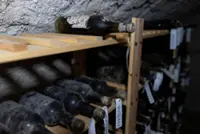 Czech castle's cache of precious wine goes on display in new-old bottles