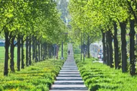 Trees counter half the world's urban heating, but not where it's needed most