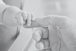 Woman arrested for allegedly throwing newborn from 10th floor of JB flat