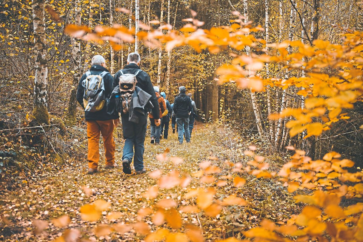 Hiking in autumn can be a very cool experience.