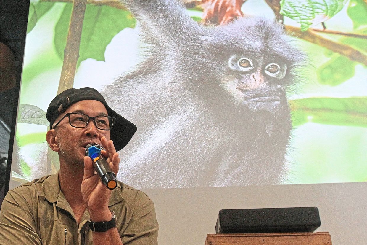 Peter introducing the 12 primate species found in Peninsular Malaysia during a talk at Project Riwayat.