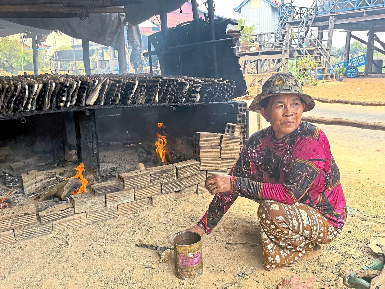 A woman smoking fish caught in Tonle Sap Lake over charcoal using an ancient technique. 