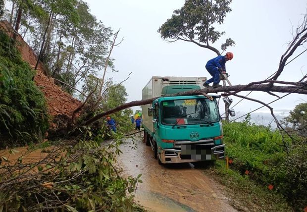 Driver escapes unhurt after tree crashes onto lorry in Telupid landslide