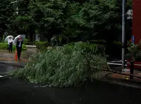 Tropical storm Jangmi batters Japan, cuts power to 60,000 homes