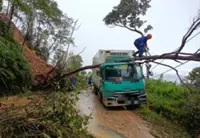 Driver escapes unhurt after tree crashes onto lorry in Telupid landslide