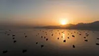 EU diplomatic arm proposed naval mission take ‘primary role’ in clearing Strait of Hormuz mines, document shows