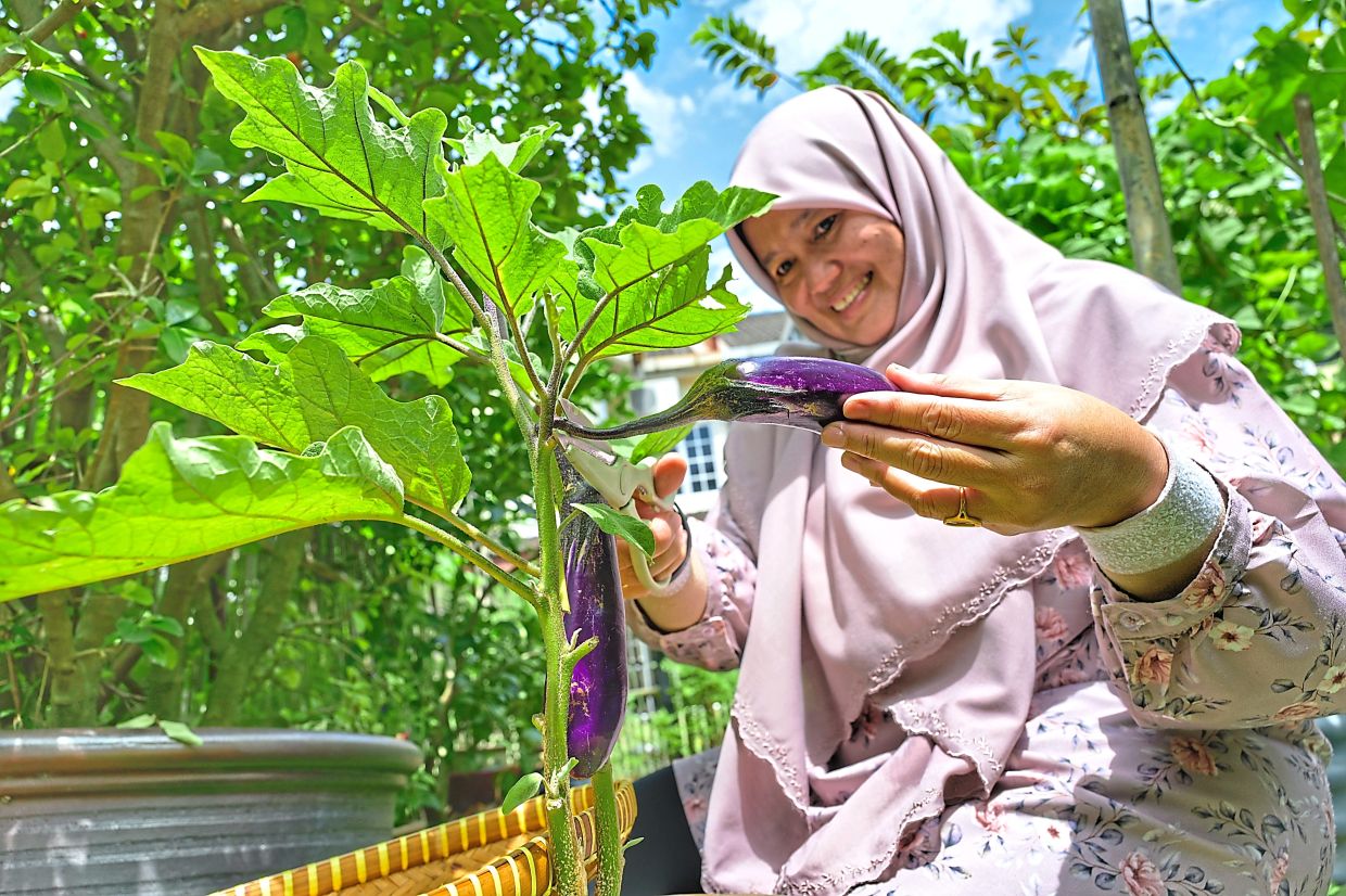 Norbiha happily shares her herbs and vegetables with neighbours.