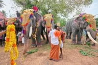 Curtain falls on film elephants