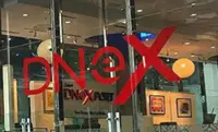 Dnex appoints Vinie Chong Pui Ling as interim officer-in-charge 