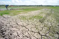 Antimicrobial resistance linked to climate change