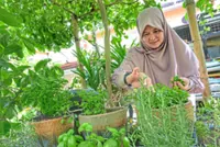 4 Malaysians share their experience in building thriving home gardens