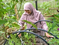 6 tips on how to start your own garden at home