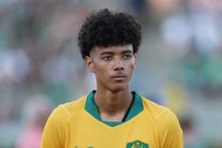 Soccer-Socceroos Herrington and Geria out to make most of first World Cup call-ups