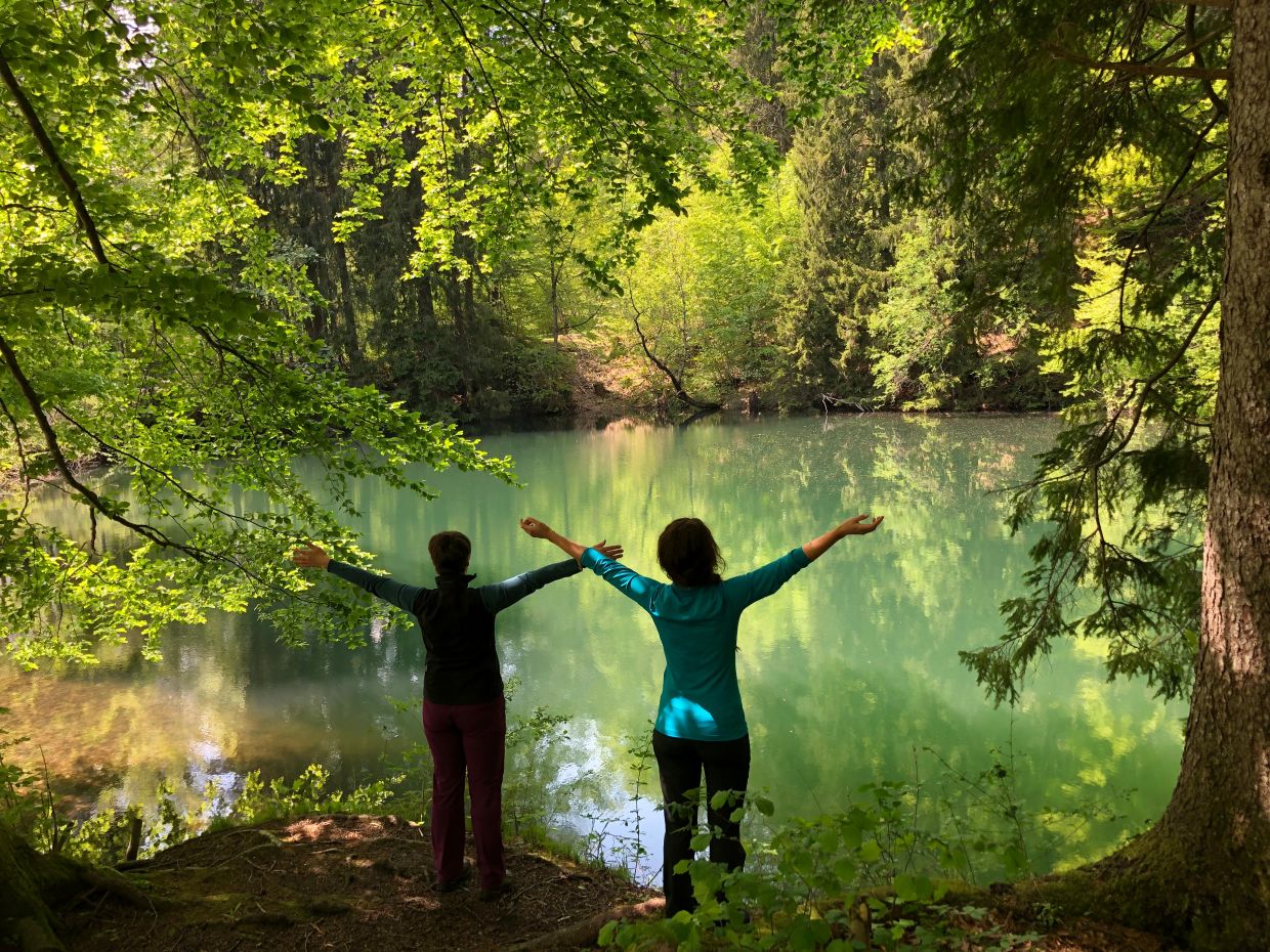 A sleep tourism programme in Bavaria is drawing global atten
