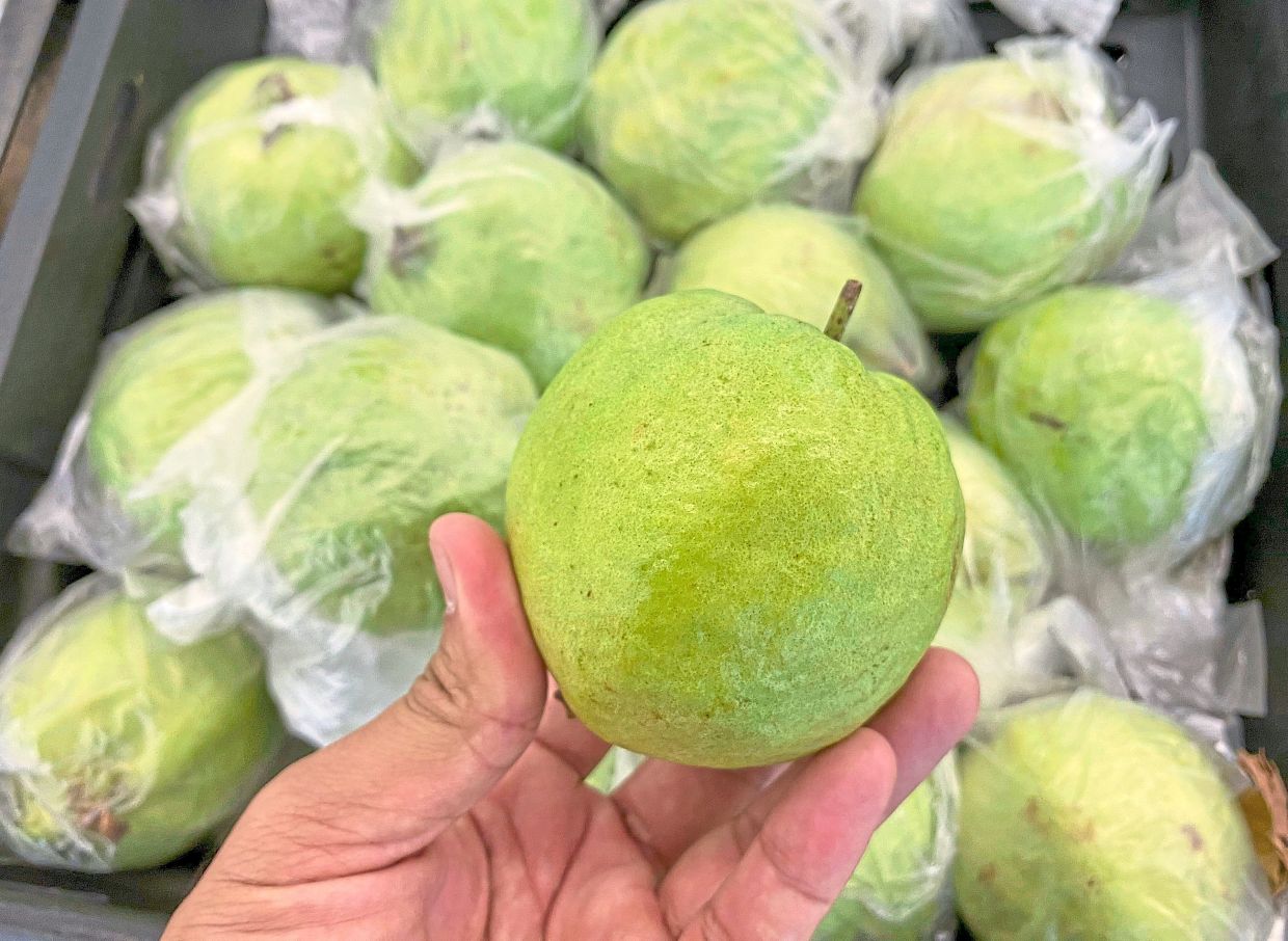 The guava fruit is a rich and affordable source of vitamin C
