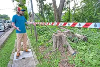 Segambut green lung to be fenced off after viral video