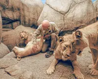 Giving new life to dead animals
