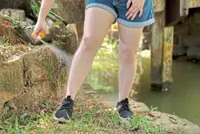 Mosquitoes can learn to like insect repellent 