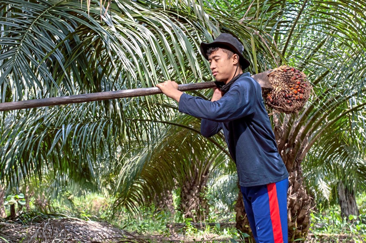 Jakarta’s commodities reality check