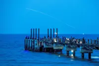 Nights come alive with shoreline squid jigging 