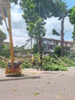 Tree trimming works in Bandar Puteri Puchong