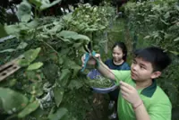 Young eco warrior inspires change