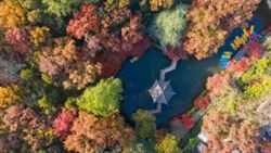 China's top court drafts judicial interpretations for new ecological code